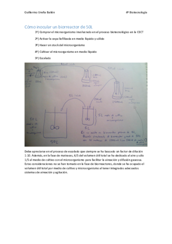 Como-inocular-un-biorreactor-de-50L.pdf