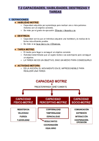 T.2 CAPACIDAES, HABILIDADES...