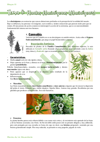 Tema-8-Plantas-Alucinogenas-II-Alucinogenos.pdf