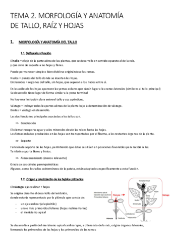 TEMA-2.pdf