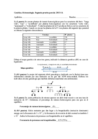 Parcial-2.pdf