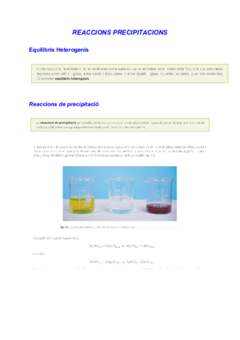 REACCIONS-PRECIPITACIONSQuimica-II.pdf