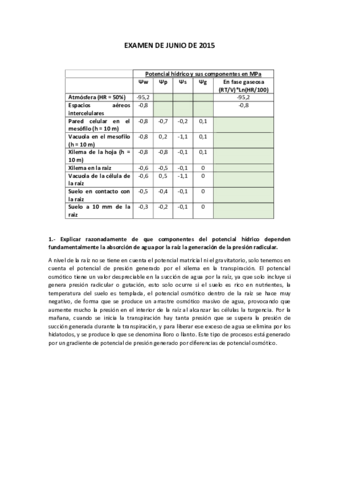 Modelo de examen.pdf