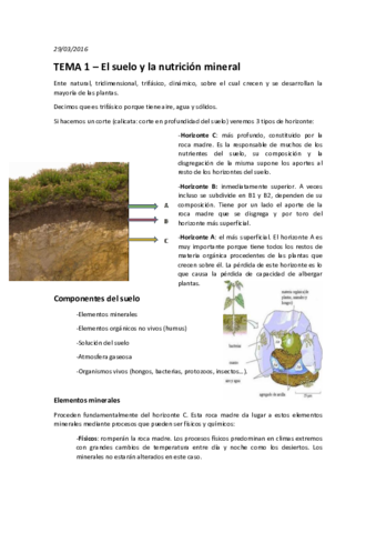 TEMA 1 – El suelo y la nutrición mineral.pdf