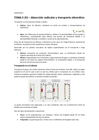 TEMA 5 (II) - Absorción radicular y translocación xilemática.pdf