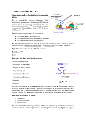 Temas-transversales.pdf