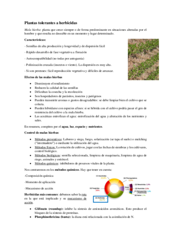 Plantas-tolerantes-a-herbicidas.pdf