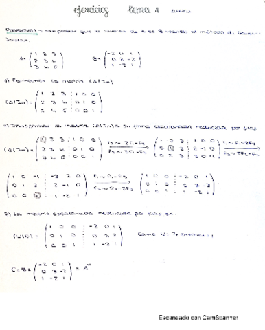 Ejercicios-Tema-1algebra-Julia-A.pdf