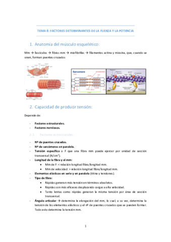 TEMA-8-FACTORES-FUERZA-Y-POTENCIA.pdf