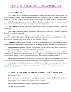 TEMA 14 PDF.pdf
