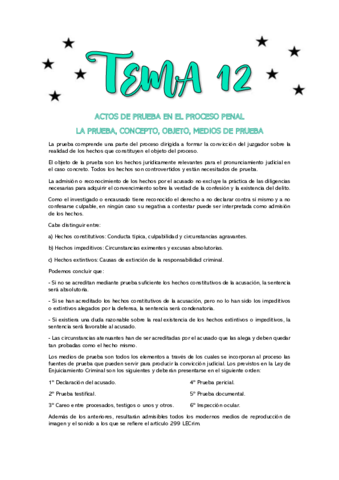 TEMA-12.pdf