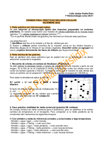 EXAMEN-FINAL-PRACTICAS-BIO-CELULAR-2020.pdf