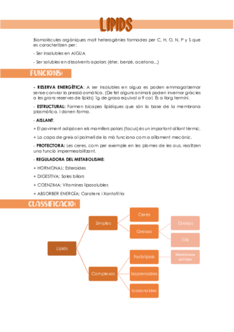 LIPIDS.pdf