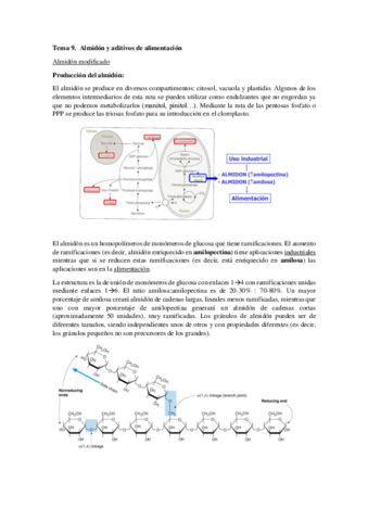 Tema-9-Almidon.pdf