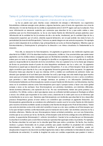 Tema-4-Foto.pdf