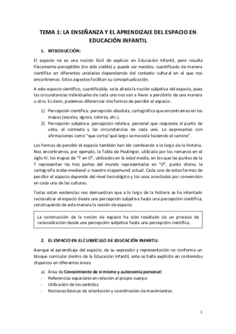 TEMA-1.pdf