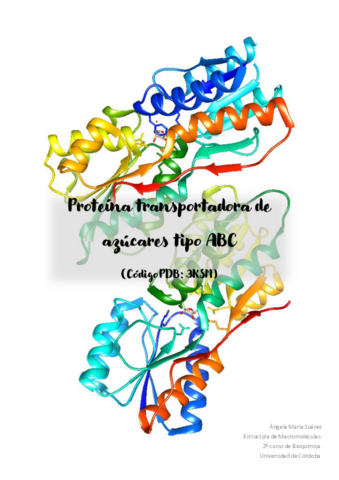 Proteina-3KSM.pdf