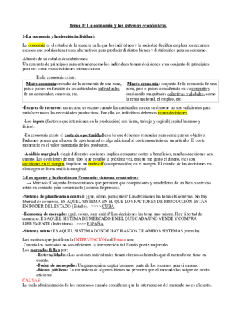 TEMA-1-ECO.pdf
