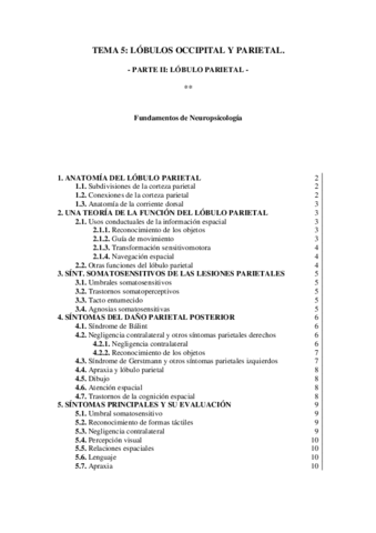 TEMA-5-Parte-II.pdf