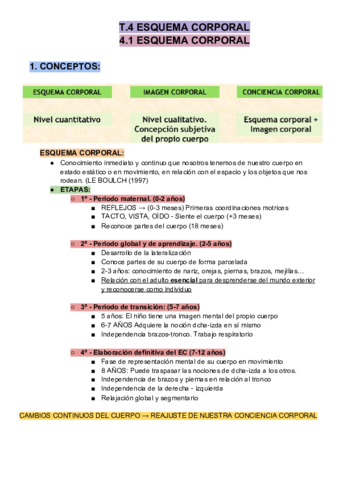 T4 ESQUEMA CORPORAL