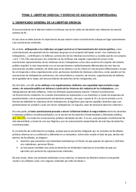 T2.Libertad sindical y derecho de asociación empresarial.pdf