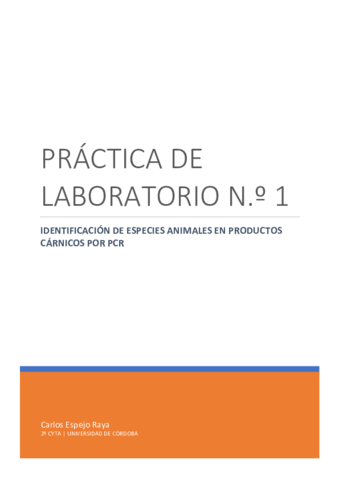 INFORMES-DE-PRACTICAS.pdf