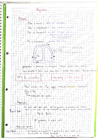 Sistema-respiratorio-sistemas-mecanicos.pdf