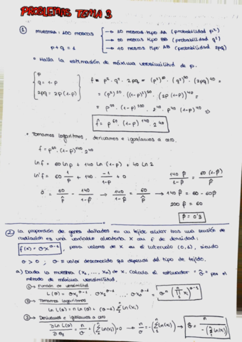 Problemas-Tema-3.pdf