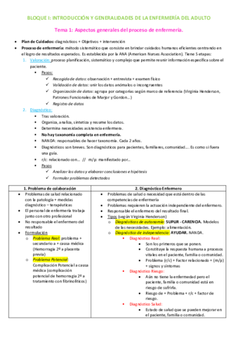Enfermeria-del-Adulto-I.pdf