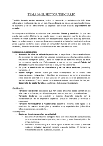 TEMA-10-EL-SECTOR-TERCIARIO.pdf