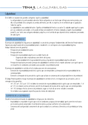 TEMA-9-pdf-penal.pdf