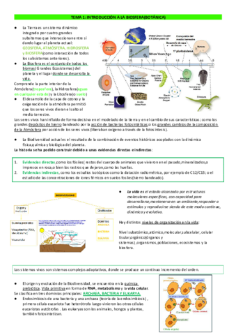 APUNTES-BIOLOGIA-1-4.pdf