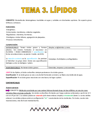 TEMA-3-LIPIDOS.pdf