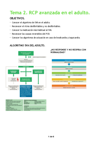 Tema-2.pdf