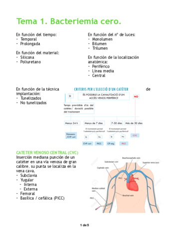 Tema-1.pdf