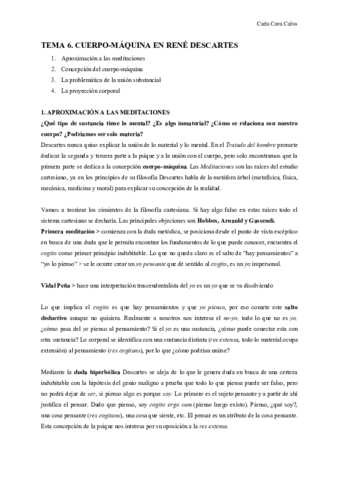 TEMA-6.pdf