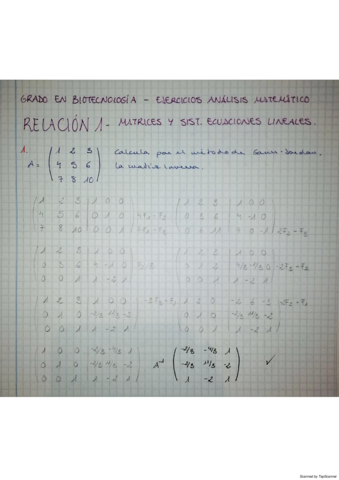 RELACION-1-MATRICES-Y-SISTEMAS-DE-ECUACIONES-LINEALES.pdf
