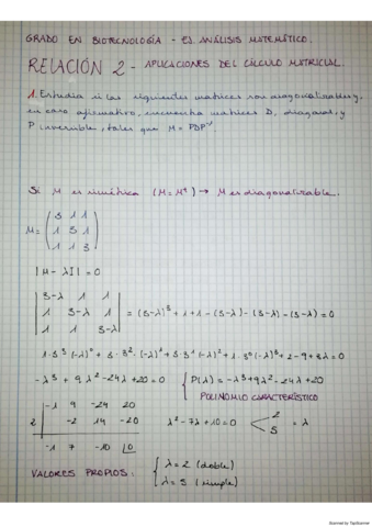 RELACION-2-APLICACIONES-DEL-CALCULO-MATRICIAL.pdf