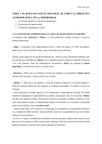 TEMA-7.pdf