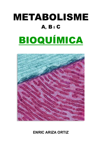 Apunts-Metabolisme-A-B-i-C.pdf