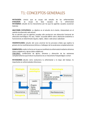 T1create.pdf