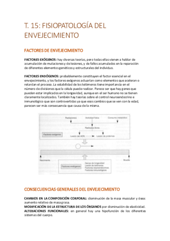 T15create.pdf