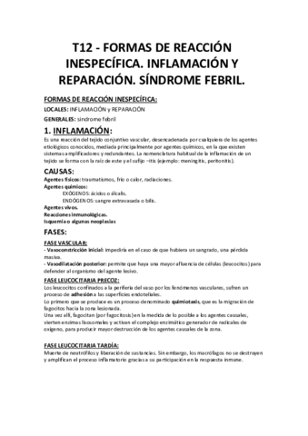 T12create.pdf