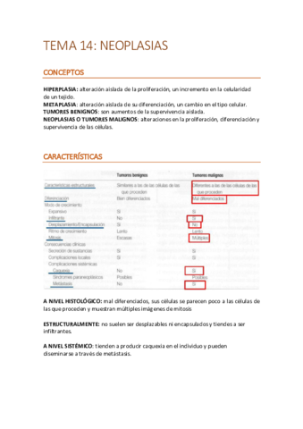 T14create.pdf