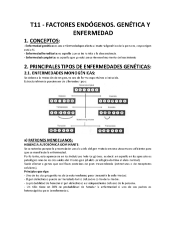 T11create.pdf