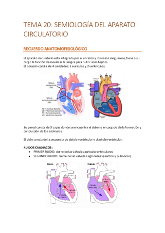 T20create.pdf