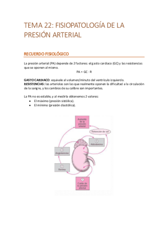 T22create.pdf