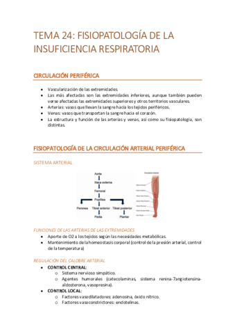 T24create.pdf