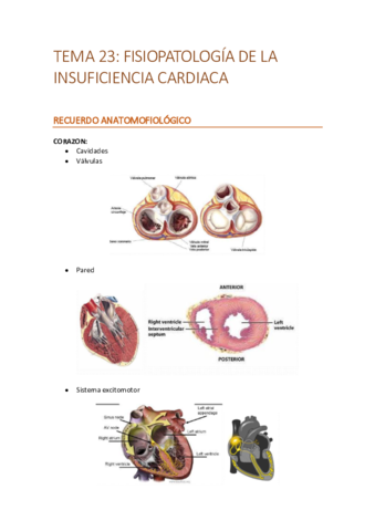T23create.pdf