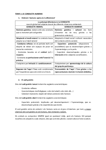 BlocA-Personalitat.pdf